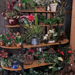 Artificial Flower And Plants 