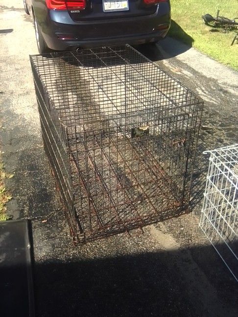 4 Dog Crates Like New 