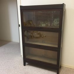 Antique Globe Wernicke Bookcase 