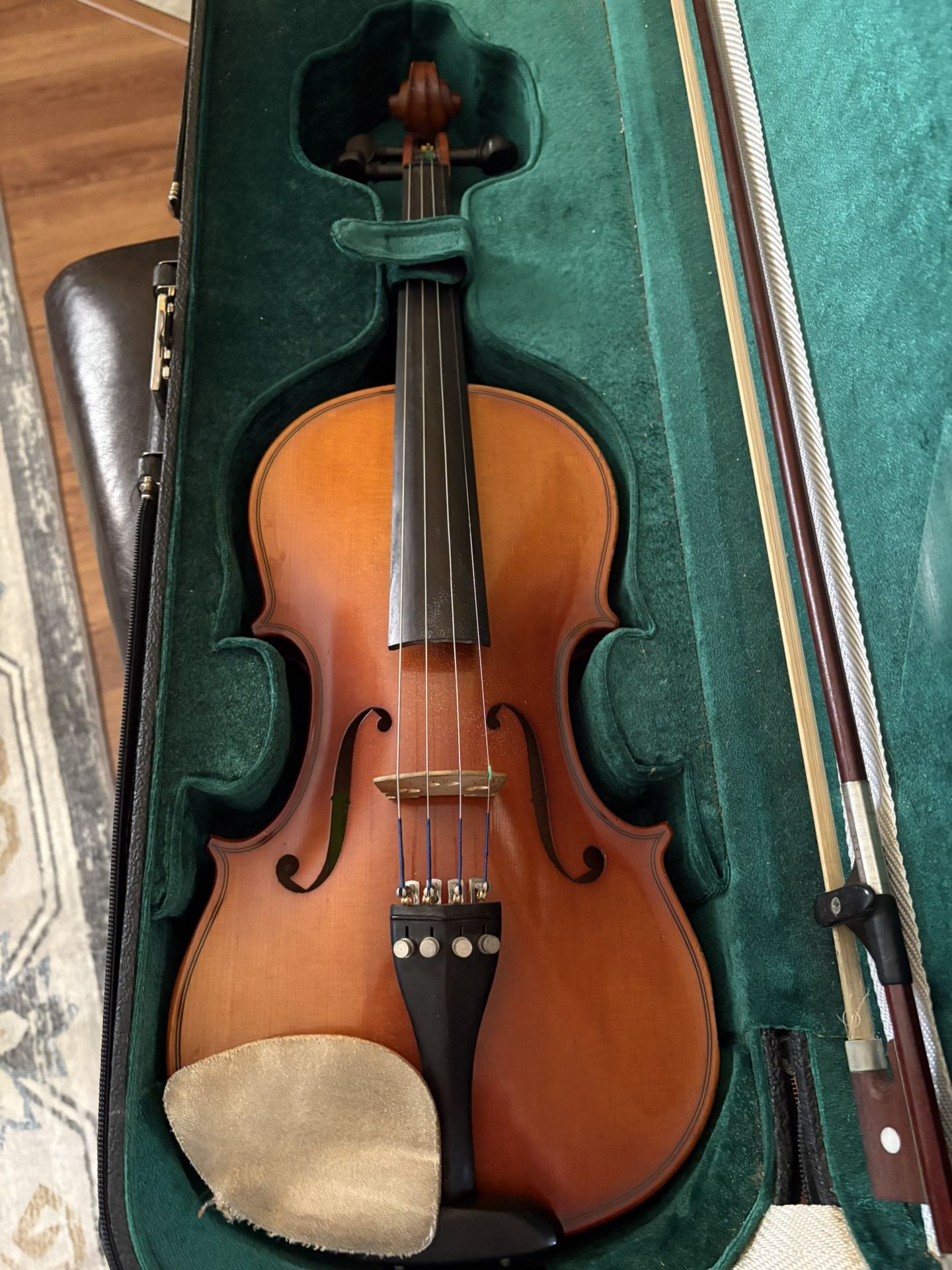 Violin