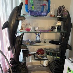 Dolphin Shelf 