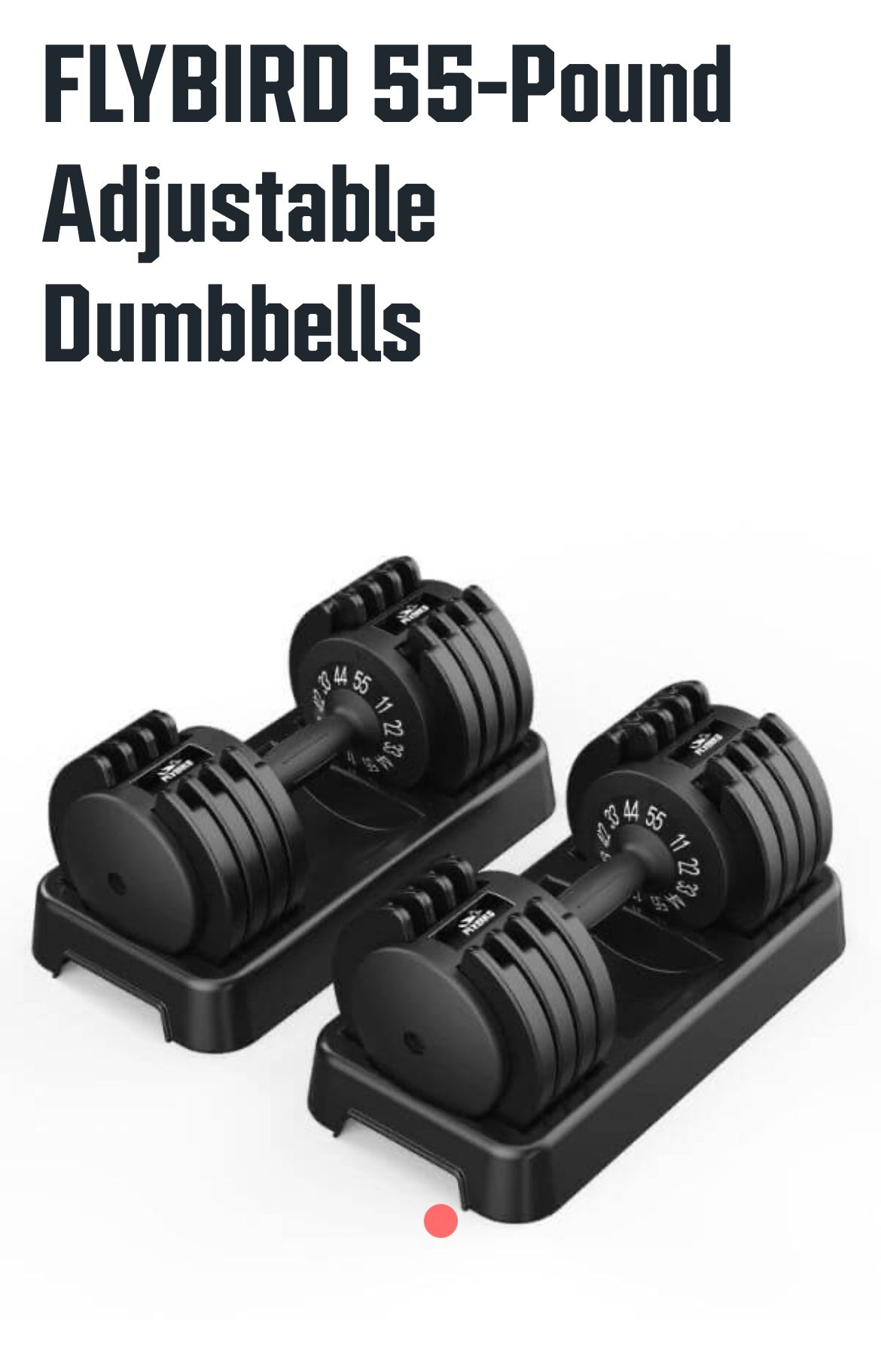 Flybird 55lb Adjustable Dumbbell