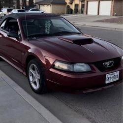 2000 Ford Mustang