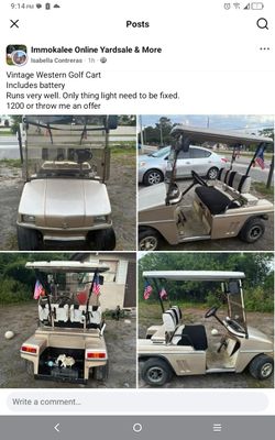 Golf Cart Works Great.