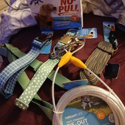 Brand New Dog Harness And Leashs 