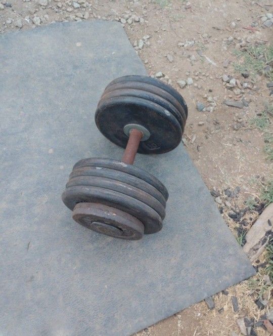 85lb Dumbbell