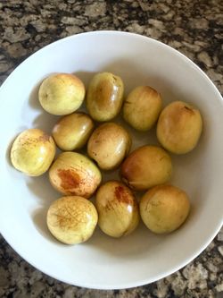 Fresh Organic Sweet Jujube Fruits Right off Jujube Li or Jujube Lang Trees