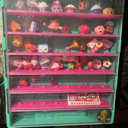 Shopkins Collection In Case 