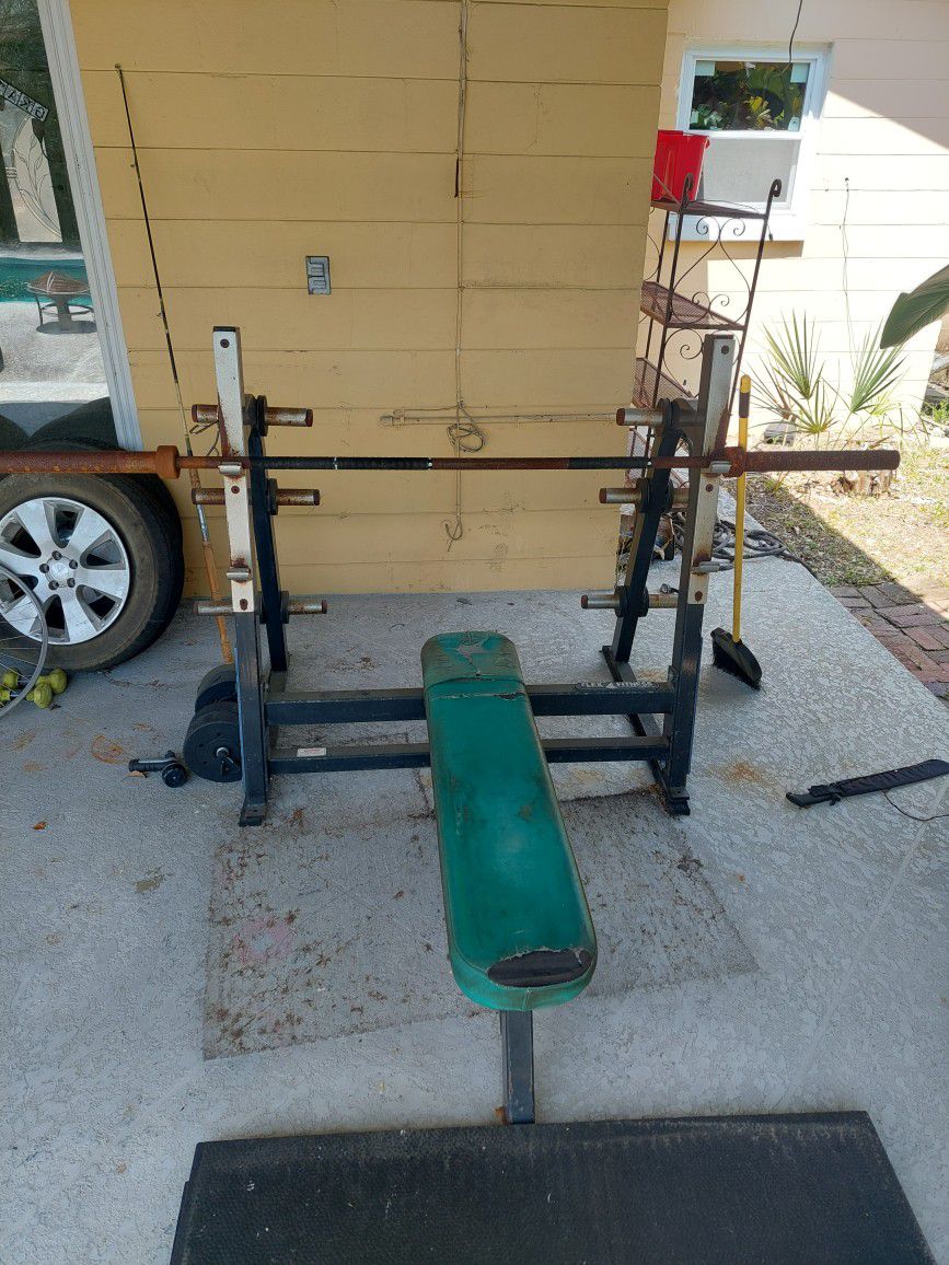 Flex Fitness Olympic Bench Press