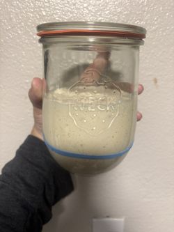 Sourdough Starter