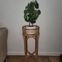 Bamboo Plant Stand And Fake Plant