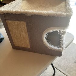 Cat House