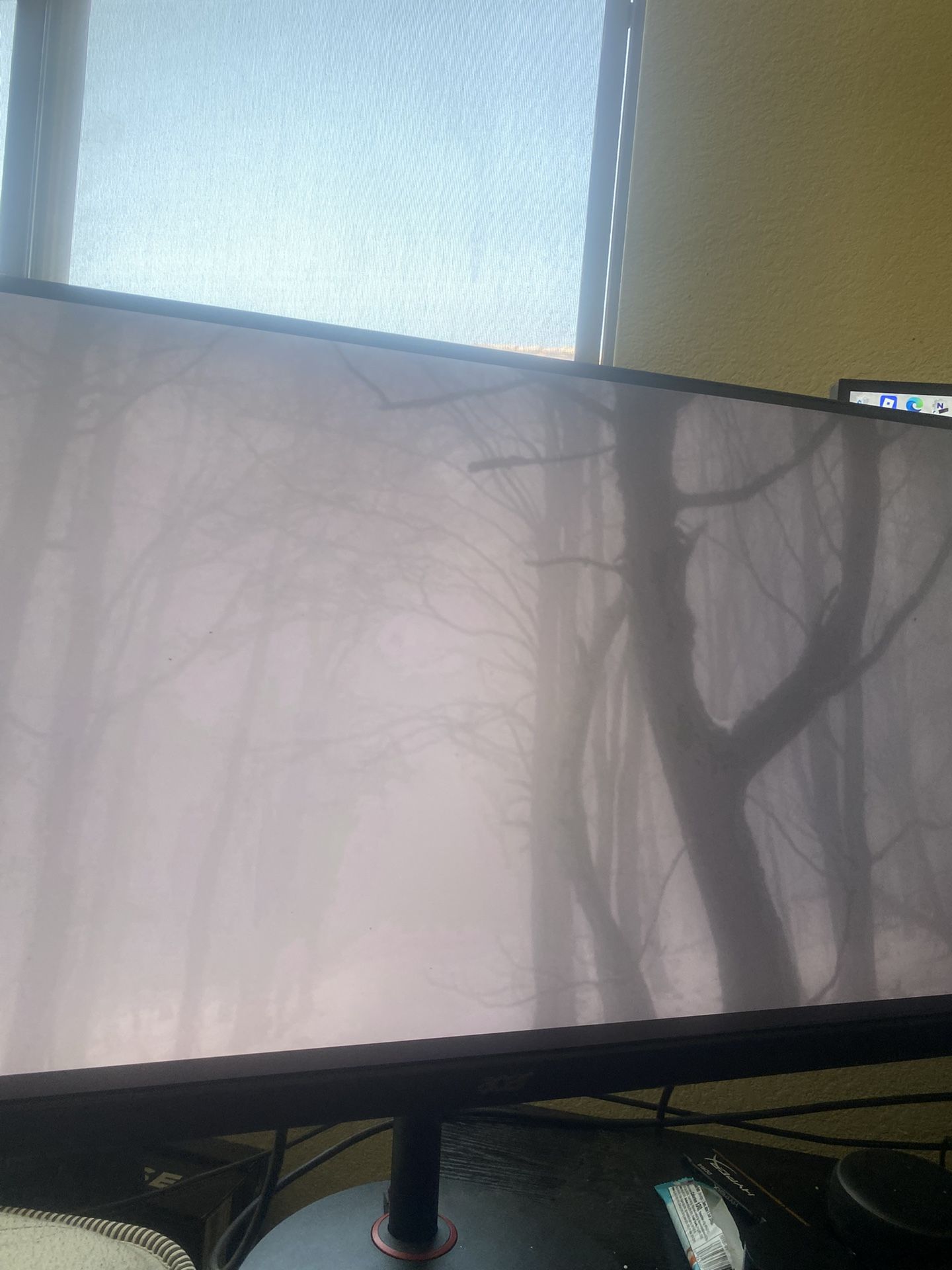 Gaming Monitor 1440p