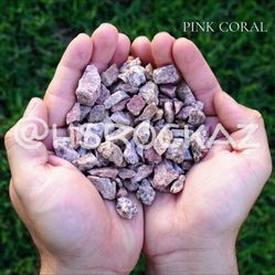 Best In The Valley - Rock Dirt Grading Backyard Remodels