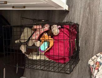 Dog Cage