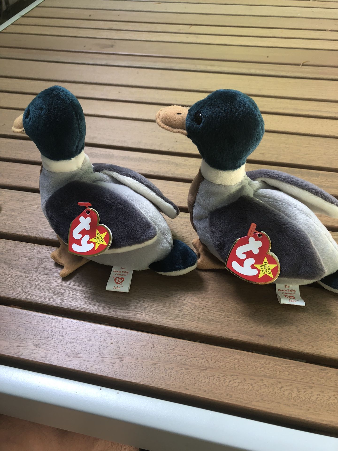 2 RARE Jake The Duck Beanie Babies With Errors
