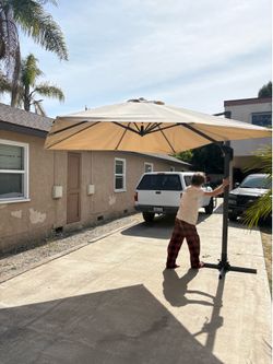 Purple Leaf Out door umbrella