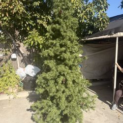 Christmas Tree  9ft. 