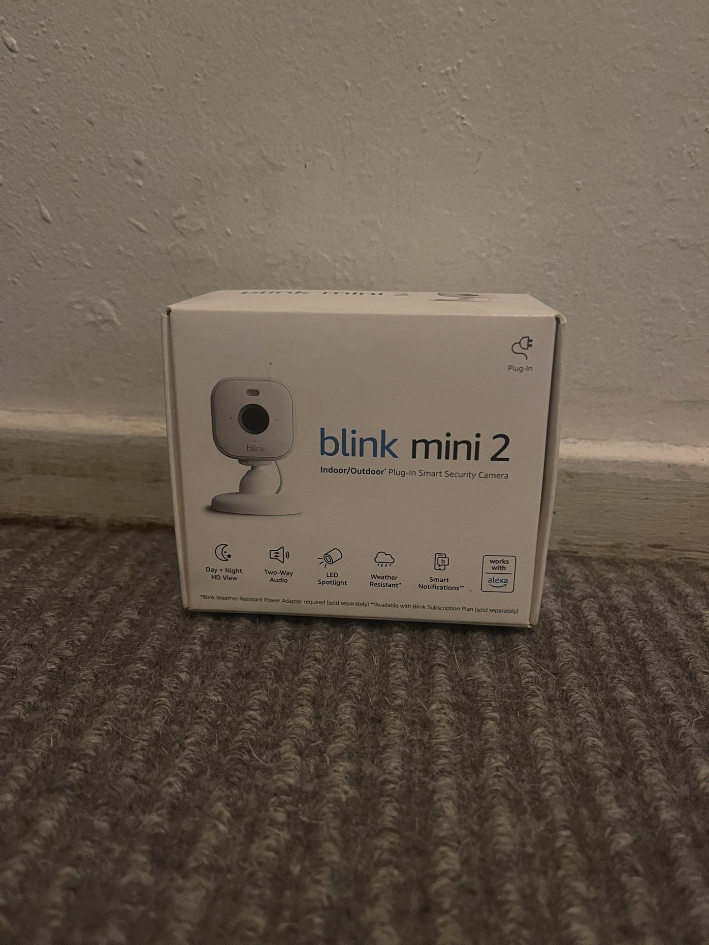 Blink Mini 2