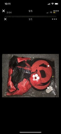 Girls lady bug costume!