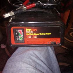 Ever start Battery Charger
