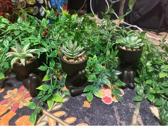 Room Decor Plant Set