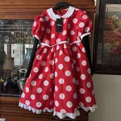 Minnie Mouse Halloween Costume