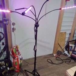 Like new plant lamp cash only