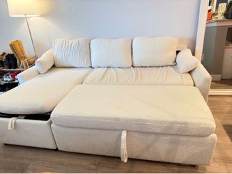 Storage Sleeper Sofa