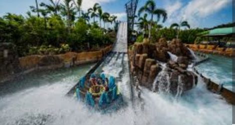 SeaWorld Orlando 