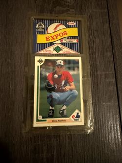 1991 EXPOS complete team set
