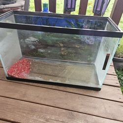 Fish Tank and accessories 