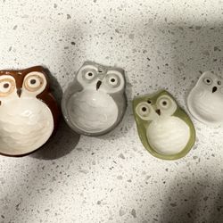 WORLD MARKET Owl Measuring Spoon Set