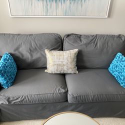 Sleeper Sofa & Matching Chair