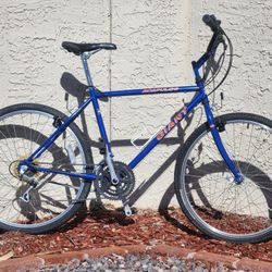 Vintage Giant Acapulco Mountain Bike – Tuned & Ready to Ride
