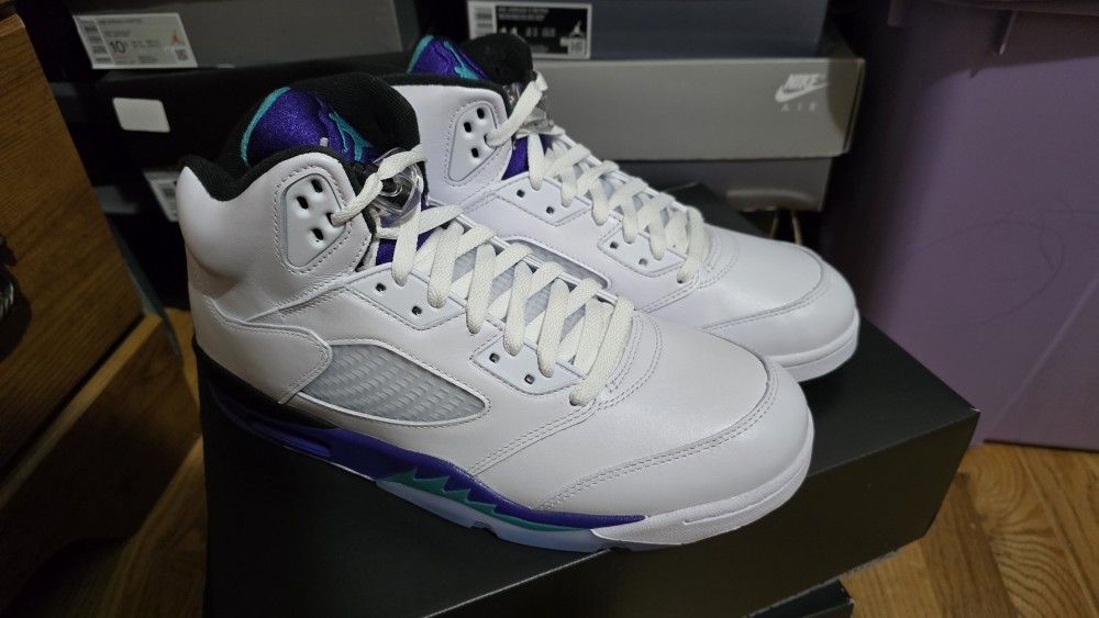 Air Jordan 5 🍇