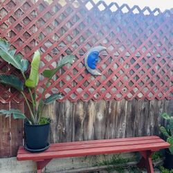 Outdoor Bench