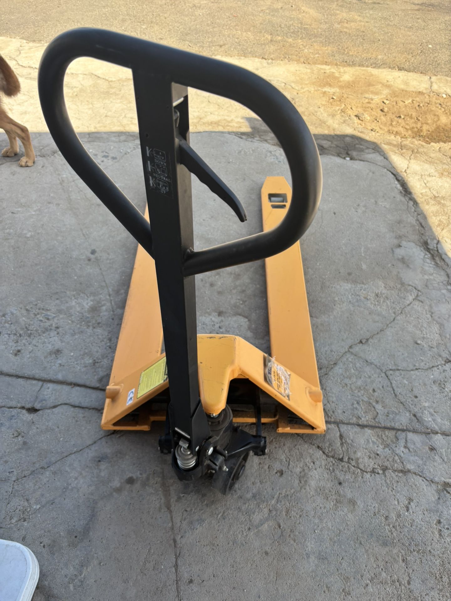 Pallet Truck/jack