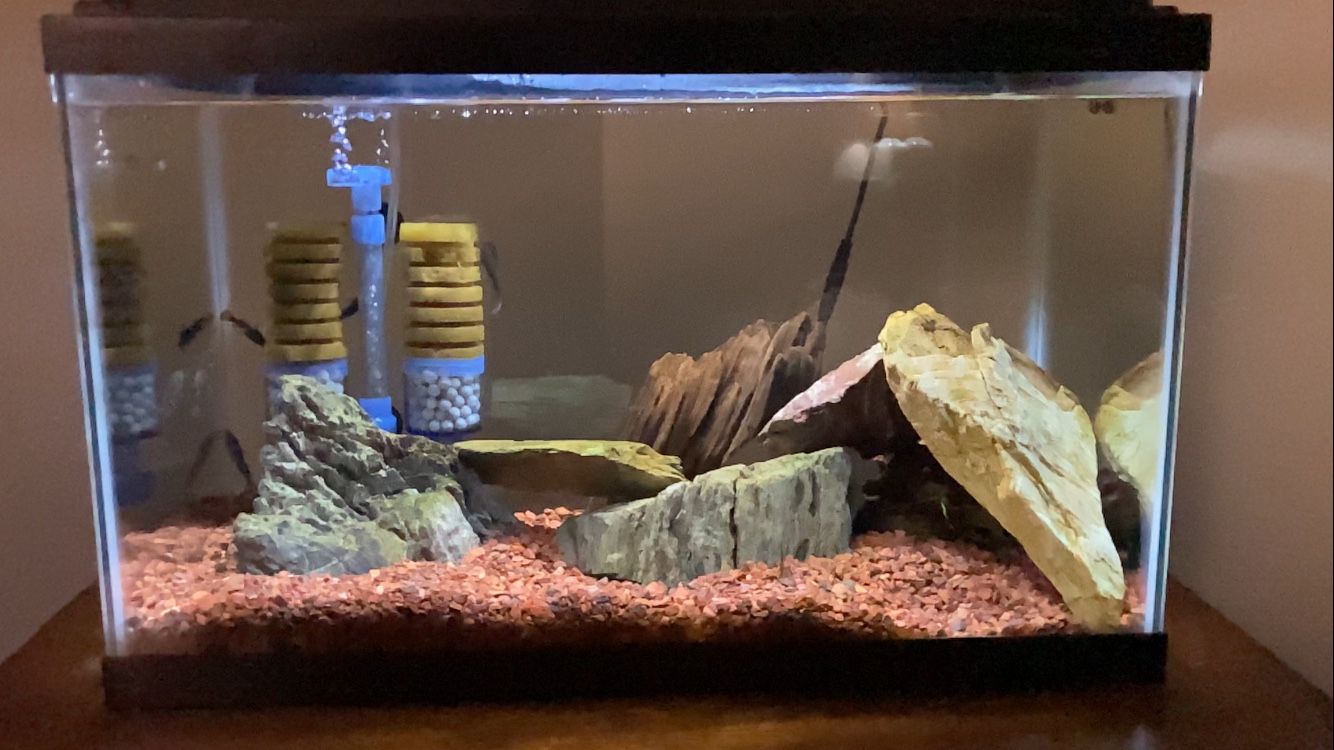 Fish Tank