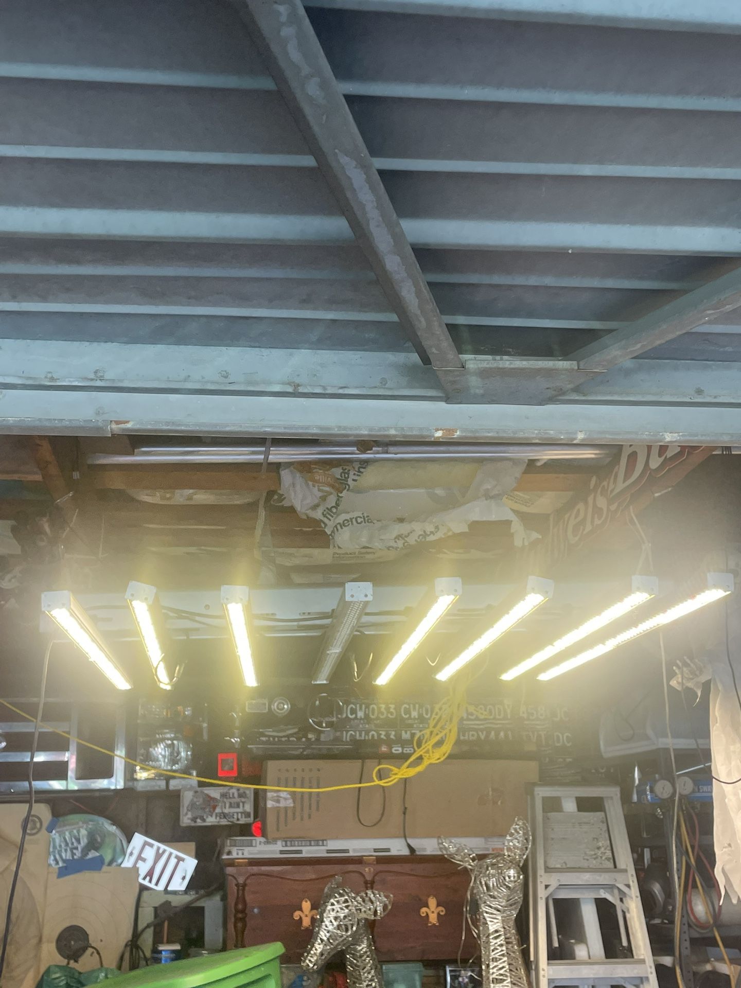 Grow Light