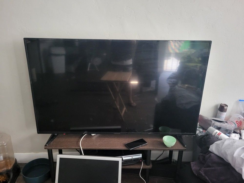 58 Inch Insignia Flat Screen Tv