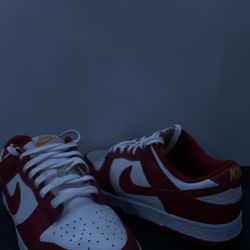 nike dunks