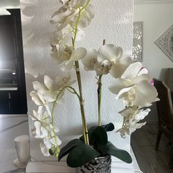 Plant Artificial