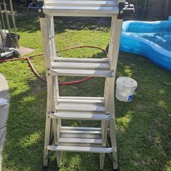 Cosco Ladder 