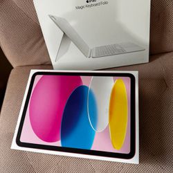 Apple iPad 10th Generation 256 GB Cellular in Pink

