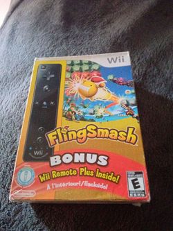Wii remote bonus what game
