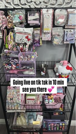 Sanrio Haul all items included
