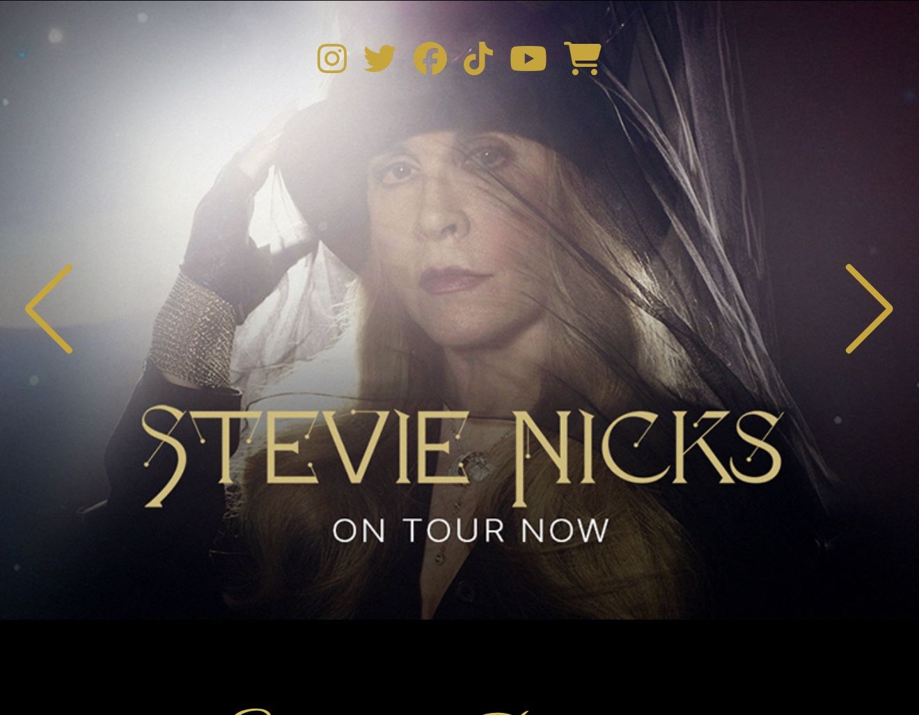 Stevie Knicks- 4 Tickets