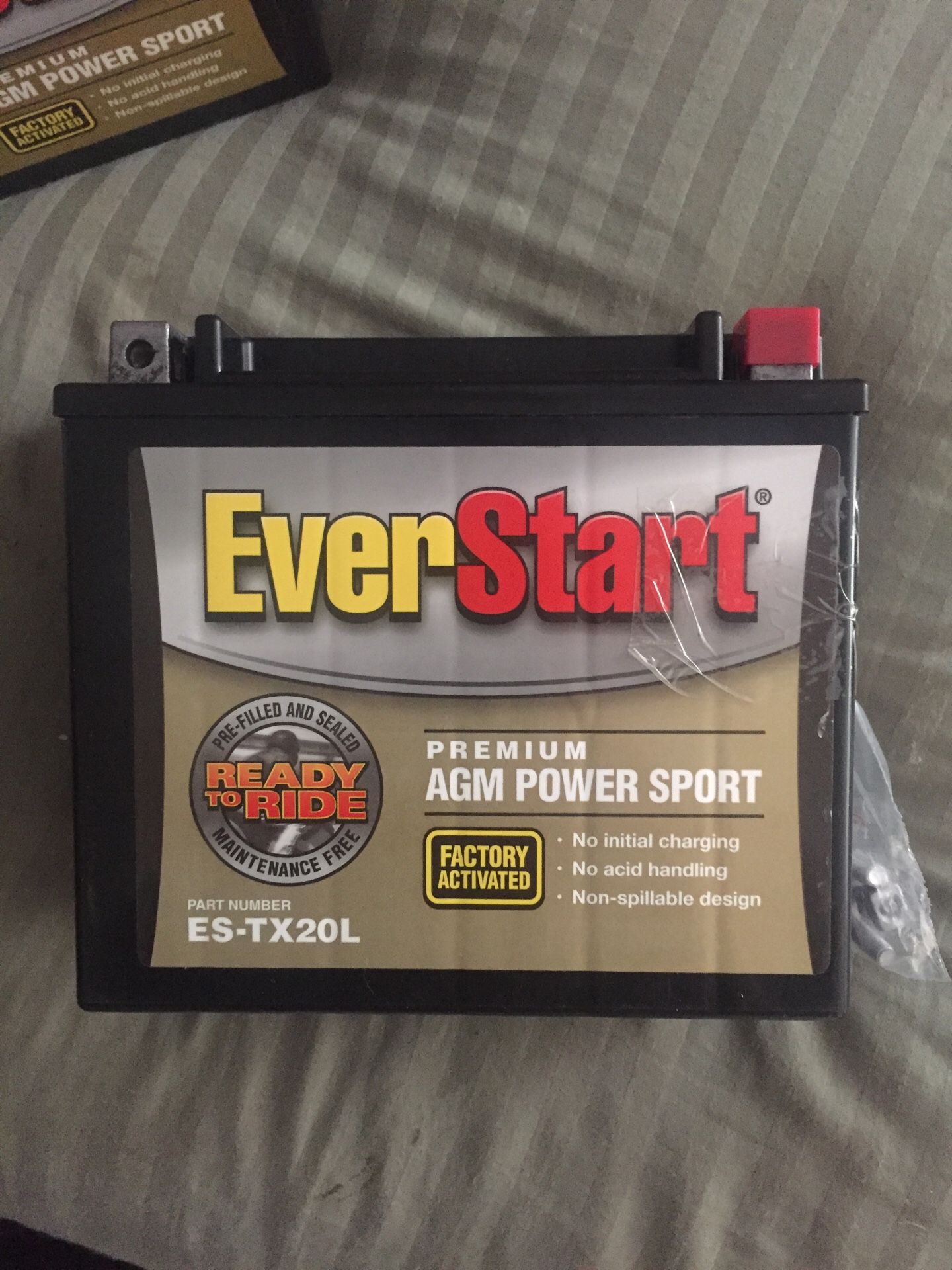 EverStart ES-TX20L 310. CCA Premium AGM power sport battery