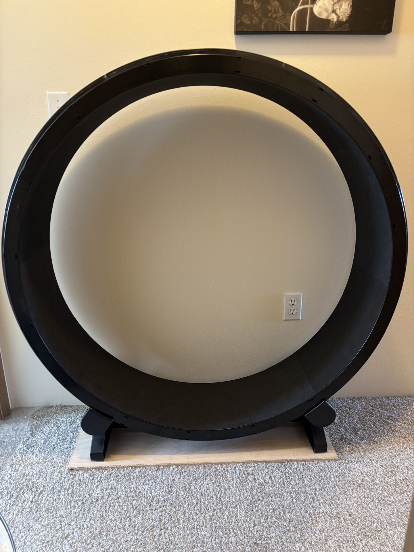 One Fast Cat Exercise Wheel - 6th Gen, Black - MOVING SALE